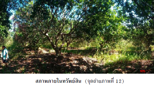 รูป บ้านเดี่ยว 17326 ตร.วา เมืองนครพนม นครพนม เมืองนครพนม นครพนม 28.2M - รูปที่ 12/16