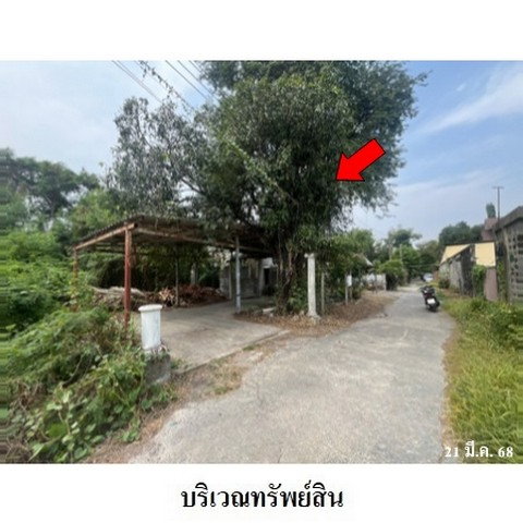 picture FOR SALE FACTORY PROPERTY 6353000 BAHT. - 2/8