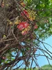 listing thumbnail image 30