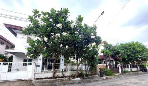 Flora Ville Park City detach house for Rent
