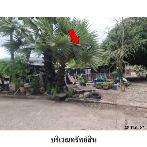 รูป Z4T0939 ขายที่ดิน หมู่บ้าน/โครงการ หมู่บ้านกรีนเลค ตำบล คลองราชาเทวะ อำเภอ บางพลี จังหวัด สมุทรปราการ - รูปที่ 2/8