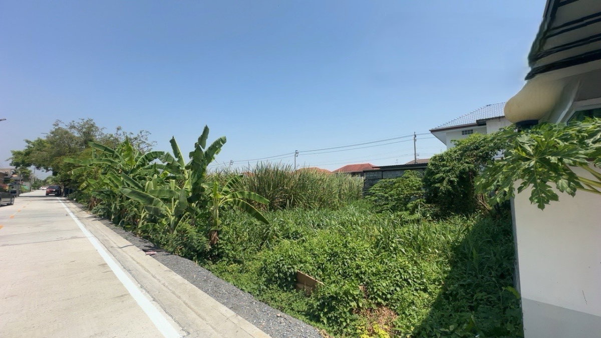 รูป ขายที่ดิน 96 ตร.วา ทำเลบางบัวทอง ใกล้ ตลาดสมบัติบุรี ราคาต่อรองได้ - รูปที่ 5/10