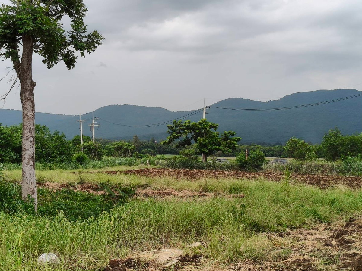 รูป ขายที่วังไทร เขาใหญ่ ที่บนเนิน 3.5ไร่ ใกล้ My ozone Movenpick khaoyai ถนนกว้างไฟฟ้าผ่านหน้าที่ วิวเขาสวยมาก หลังพิงเขา แถมที่ครอบครอง12ไร่ ปากช่อง - รูปที่ 6/6