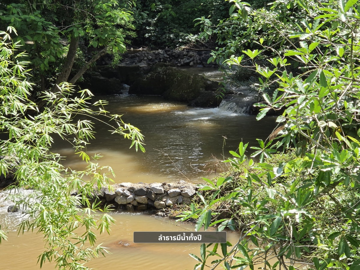 รูป ขายที่ดิน 8ไร่ วิวภูเขา ห่างตัวเมือง 10 นาที พร้อมลำธารมีน้ำตลอดปี ติดถนนสายเลย–ภูเรือ | จังหวัดเลย - รูปที่ 10/12