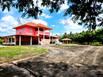 Land for sale Pak Chong Nakhon Ratchasima : Land for sale in Klang Dong, Pak Chong, with a house and over 700 teak trees. Good atmosphere, not far from Bangkok, close to Mittraphap Road. | 93346