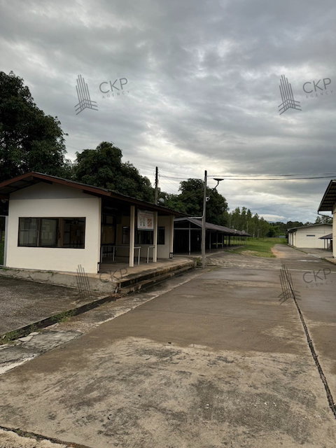 รูป ขาย ที่ดินพร้อมสิ่งปลูกสร้าง 55 หลัง ติดไฮเวย์ลำปาง - เชียงใหม่ เหมาะสำหรับทำโรงงานอุตสาหกรรม - รูปที่ 3/11