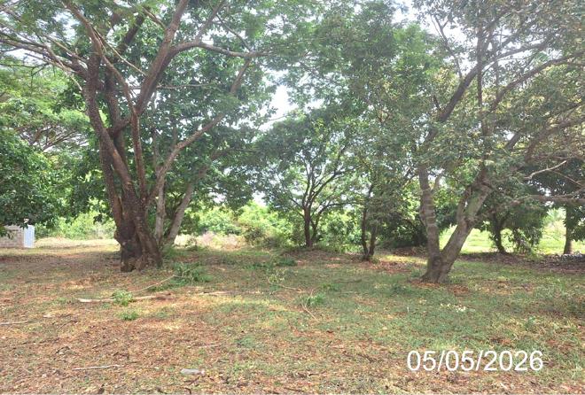 รูป บ้านเดี่ยว 642.3 ตร.วา เมืองลำปาง ลำปาง 1.5M - รูปที่ 8/24