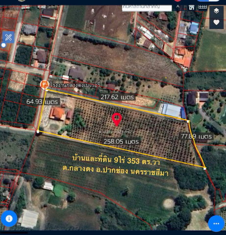 รูป ขาย ที่ดิน กลางดง ปากช่อง พร้อมบ้านและต้นสัก700 กว่าต้น บรรยากาศดี เดินทางไม่ไกลจากกทม. ใกล้ถนนมิตรภาพ | รหัส 93346 - รูปที่ 7/8