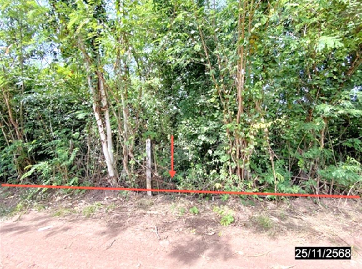 picture LAND 2394 Sq.w. Chum Phae Khon Kaen for 958,000 - 8/14