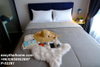 listing thumbnail image 18
