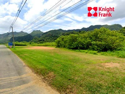ที่ดิน ปากช่อง โคราช : ขายที่ดิน 67 ไร่ โซนเขาใหญ่ อำเภอปากช่อง จังหวัดนครราชสีมา