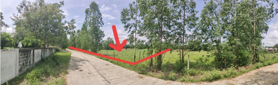 picture PROPERTY 4743 Sq.w. Ban Haet Khon Kaen for 5.7M - 2/5
