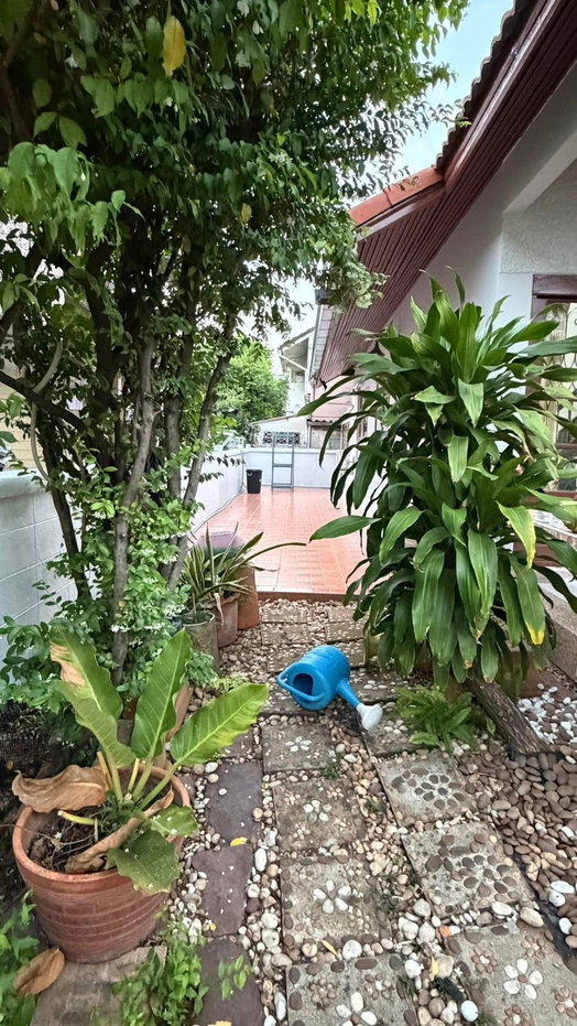 รูป 🏡 ให้เช่าบ้านเดี่ย ว60 ตร.วา หมู่บ้านชวนชื่น รามอินทรา – วัชรพล 3 ห้องนอน 2 ห้องน้ำ บรรยากาศร่มรื่น เงียบสงบ ใกล้ BTS เพียง 1.5 กม. - รูปที่ 15/15