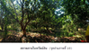 listing thumbnail image 9