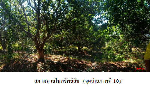 รูป บ้านเดี่ยว 17326 ตร.วา เมืองนครพนม นครพนม เมืองนครพนม นครพนม 28.2M - รูปที่ 10/16