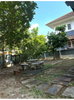 listing thumbnail image 32