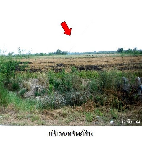 รูป Z3A0708 ขายที่ดิน ตำบล บางพลีน้อย อำเภอ บางบ่อ จังหวัด สมุทรปราการ - รูปที่ 3/8
