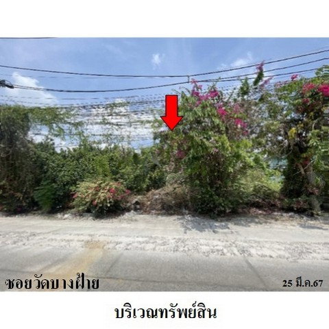 รูป ZLTR010 ขายที่ดิน ตำบล บางหัวเสือ อำเภอ พระประแดง จังหวัด สมุทรปราการ - รูปที่ 5/8