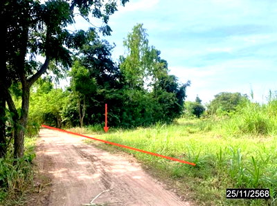 Land for sale Chum Phae Khon Kaen : LAND 2394 Sq.w. Chum Phae Khon Kaen for 958,000