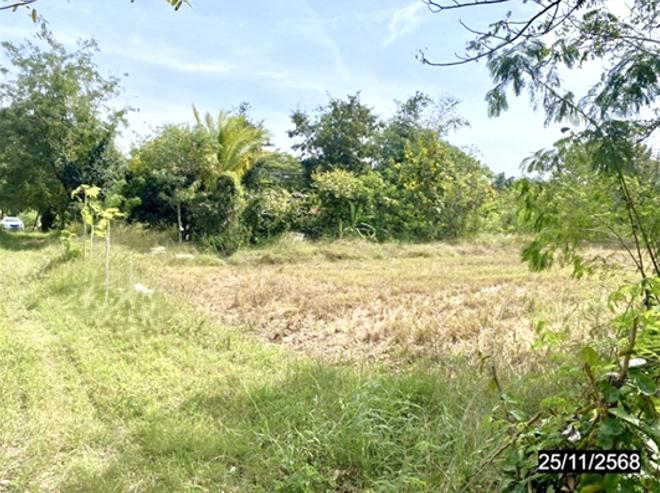 picture LAND 2394 Sq.w. Chum Phae Khon Kaen for 958,000 - 5/14
