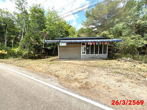 บ้านเดี่ยว 110 ตร.วา พุนพิน สุราษฎร์ธานี 1.8M