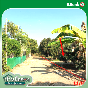 picture LAND 803 Sq.w. Wieng Nong long Lamphun for 1.2M - 12/14