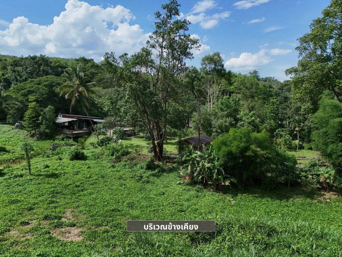 รูป ขายที่ดิน 8ไร่ วิวภูเขา ห่างตัวเมือง 10 นาที พร้อมลำธารมีน้ำตลอดปี ติดถนนสายเลย–ภูเรือ | จังหวัดเลย - รูปที่ 11/12