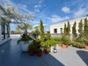 listing thumbnail image 20