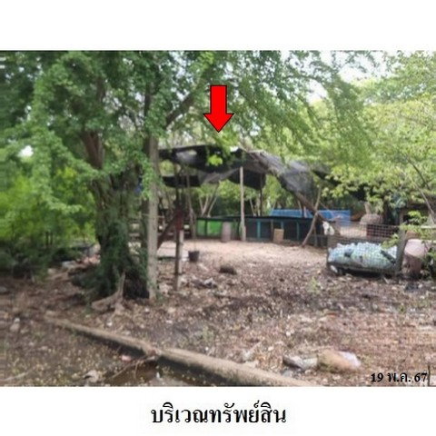 รูป Z4T0939 ขายที่ดิน หมู่บ้าน/โครงการ หมู่บ้านกรีนเลค ตำบล คลองราชาเทวะ อำเภอ บางพลี จังหวัด สมุทรปราการ - รูปที่ 4/8