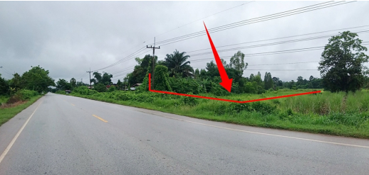 รูป ที่ดินว่างเปล่า 1551.3 ตร.วา โครงการ บ้านผักบุ้ง อุดรธานี บ้านผือ อุดรธานี 5.1M - รูปที่ 2/6
