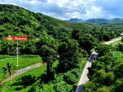 ที่ดิน เมืองเลย เลย : ขายที่ดิน 8ไร่ วิวภูเขา ห่างตัวเมือง 10 นาที พร้อมลำธารมีน้ำตลอดปี ติดถนนสายเลย–ภูเรือ | จังหวัดเลย