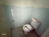 listing thumbnail image 36