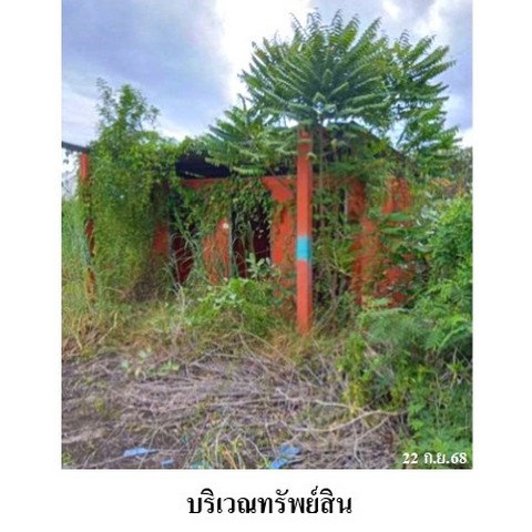 picture FOR SALE WAREHOUSE PROPERTY 6535000 BAHT. - 4/8