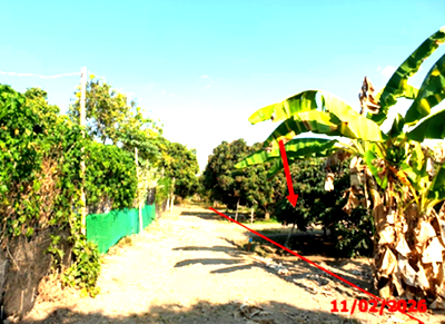 LAND 803 Sq.w. Wieng Nong long Lamphun for 1.2M