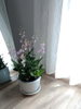 listing thumbnail image 7