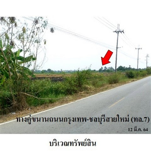 รูป Z3A0708 ขายที่ดิน ตำบล บางพลีน้อย อำเภอ บางบ่อ จังหวัด สมุทรปราการ - รูปที่ 2/8