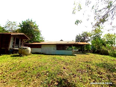 บ้านเดี่ยว บรบือ มหาสารคาม : บ้านเดี่ยว 109 ตร.วา บรบือ มหาสารคาม 726,000