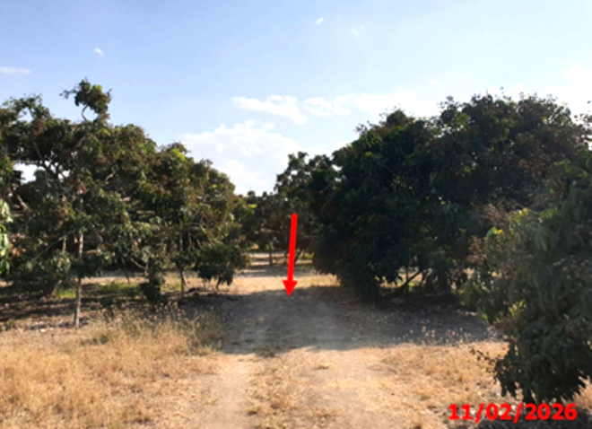 picture LAND 803 Sq.w. Wieng Nong long Lamphun for 1.2M - 4/14