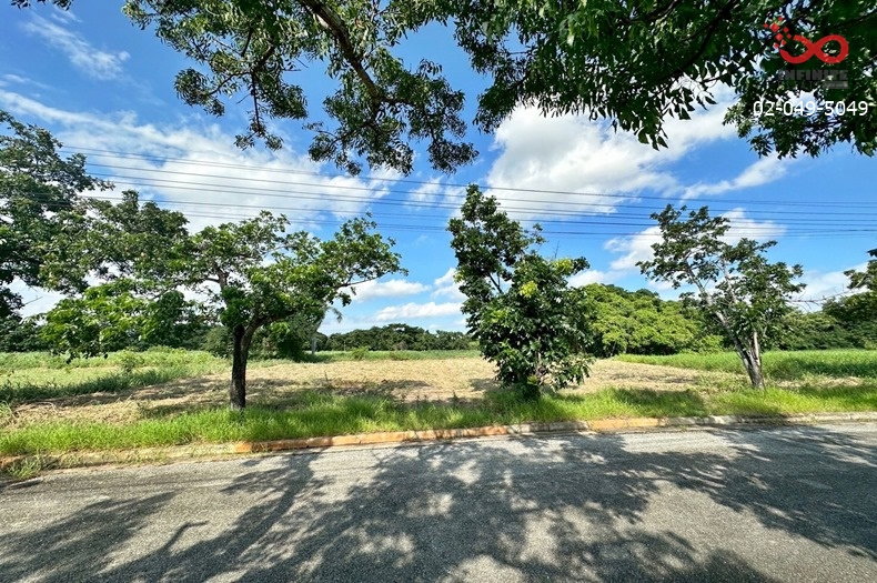 รูป ขายที่ดิน สนามกอล์ฟเลควูด 349 ตร.ว. บางนา-ตราด บางพลี สมุทรปราการ  ต่ำกว่าราคาประเมิน  - รูปที่ 2/5