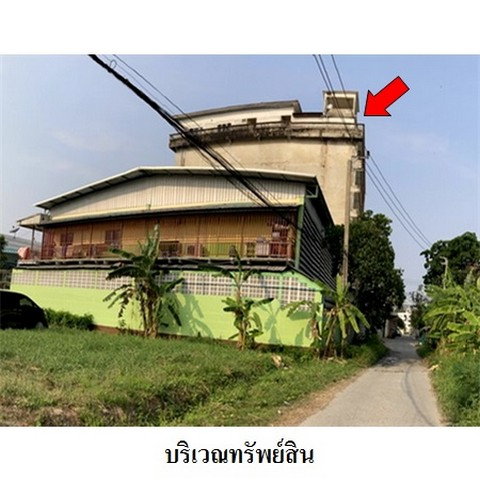 picture FOR SALE WAREHOUSE PROPERTY 16685000 BAHT. - 1/8