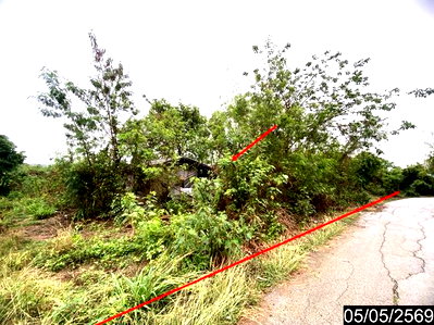 LAND 18631 Sq.w. Na Duang Loei for 5.5M