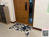 listing thumbnail image 10