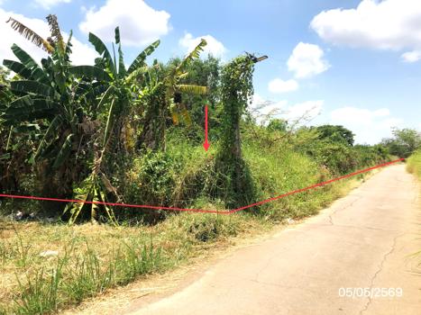 picture LAND 1271.2 Sq.w. Sawankhalok Sukhothai for 4.2M - 17/20