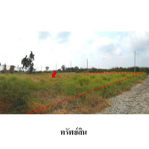 picture FOR SALE LAND PROPERTY 2680000 BAHT. - 7/8