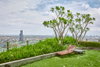 listing thumbnail image 7