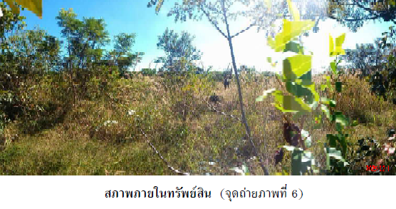 รูป บ้านเดี่ยว 17326 ตร.วา เมืองนครพนม นครพนม เมืองนครพนม นครพนม 28.2M - รูปที่ 6/16