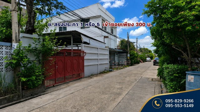 รูป ขายที่ดินถมนานแล้ว 55 ตรว.ล้อมรั้ว4 ด้าน ติดถนนสาธารณะ สรงประภา 1 แยก 2 ใกล้สนามบินดอนเมือง ดอนเมือง กรุงเทพ - รูปที่ 3/8