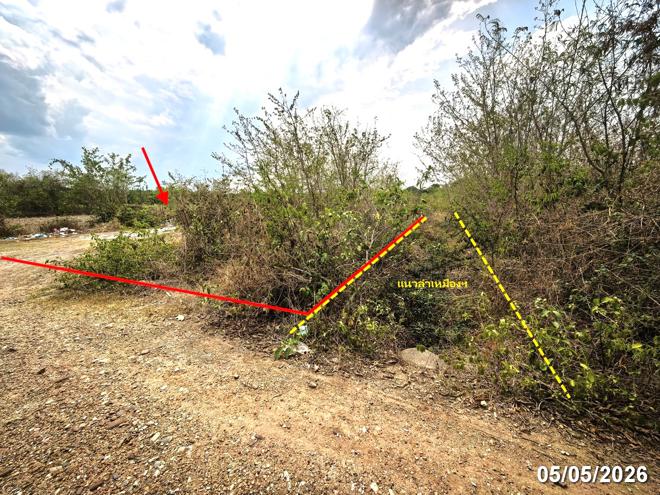 picture LAND 1299 Sq.w. San Pa Tong Chiang Mai for 1.5M - 4/16