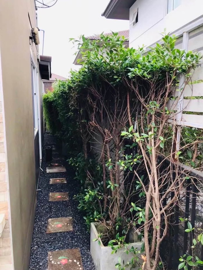 รูป บ้านเดี่ยว ให้เช่า 3-ห้องนอน ที่ มัณฑนา เลค วัชรพล ใน วัชรพล - รูปที่ 5/39