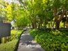 listing thumbnail image 11